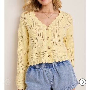 Francesca's Collections Amy Pointelle Button Down Cardigan NWT size L